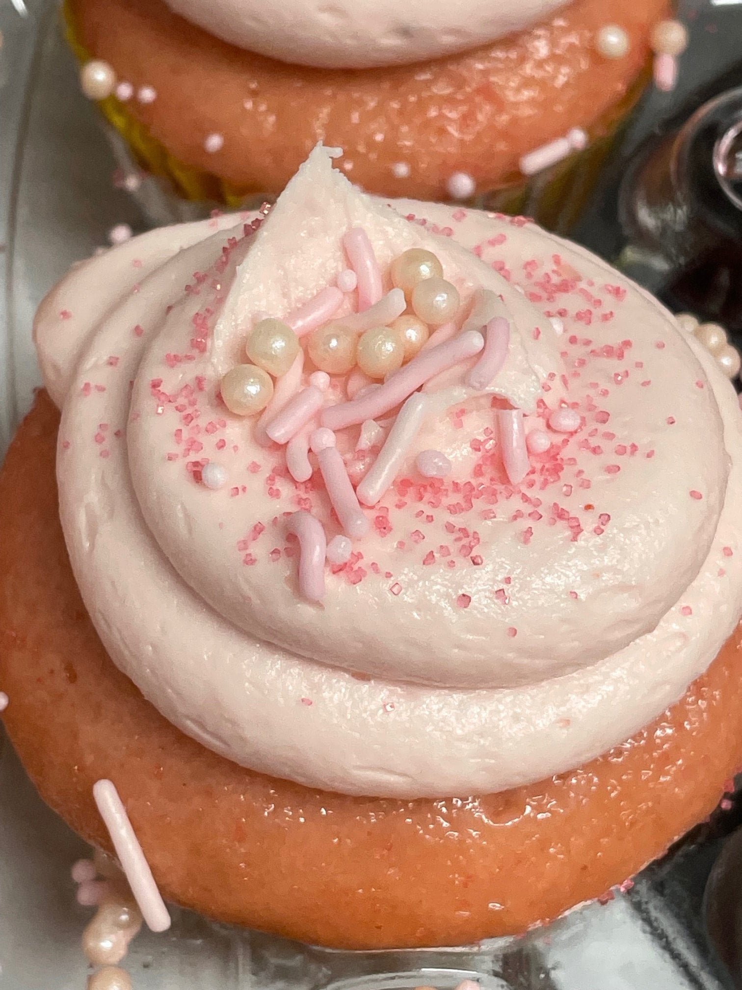 1 Signature Collection Cupcake